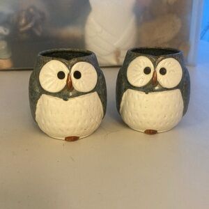 Cute Ceramic Owl Salt and Pepper Shakers - White & Blue